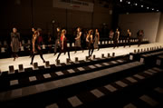 cat walk show